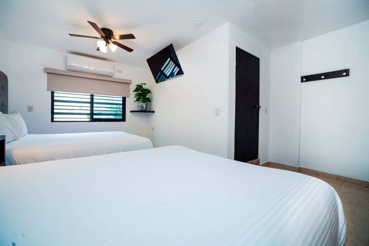 Suite Estandar Queen Doble imagen 3