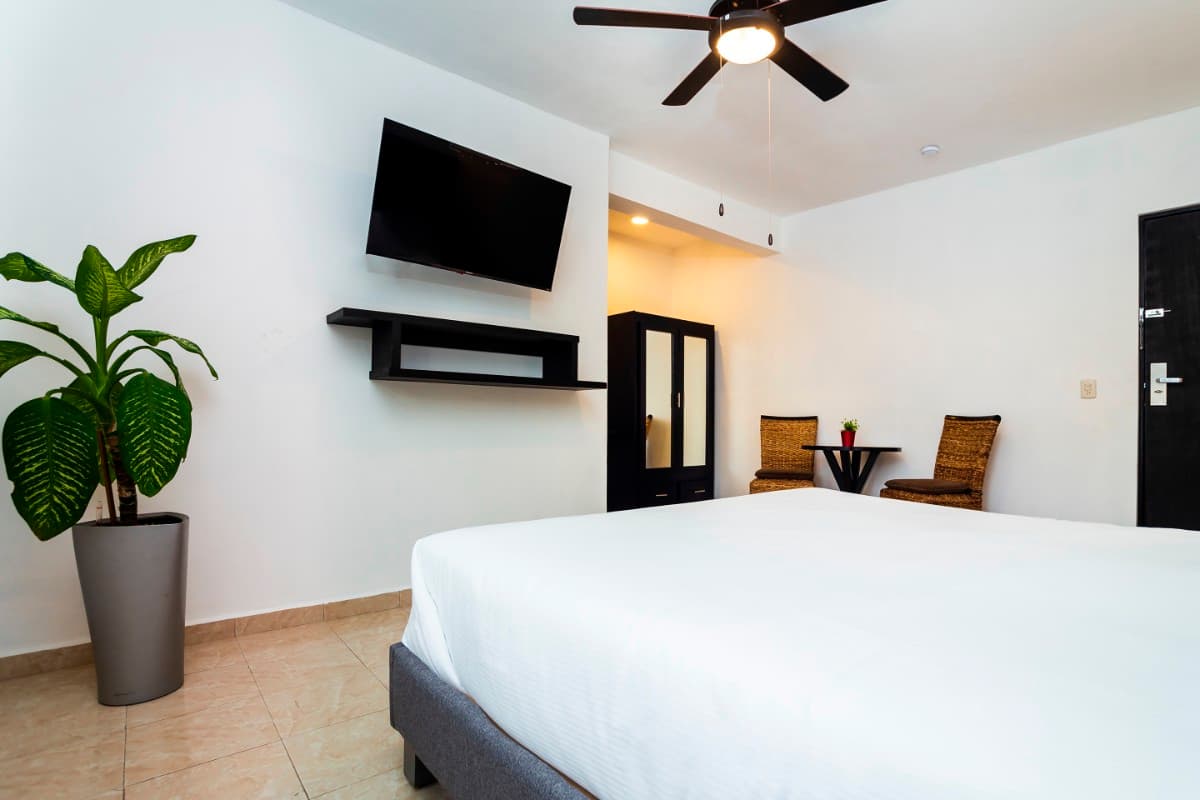 Suite King  imagen 4